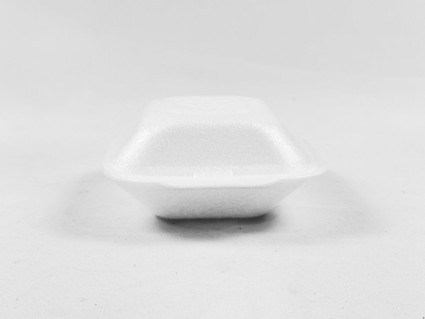 Suger Cane Containers 2x110