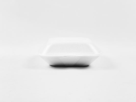 Suger Cane Containers 2x110