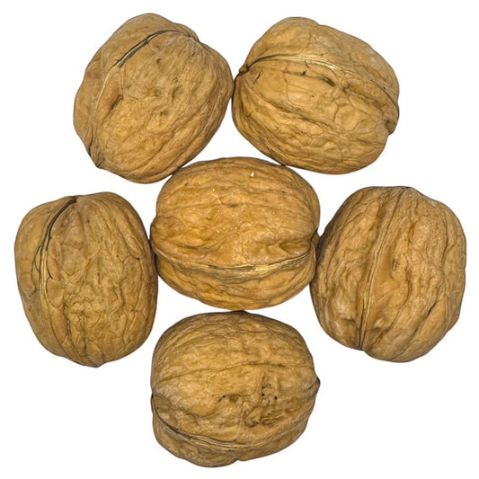 Walnut in shell 10kg
